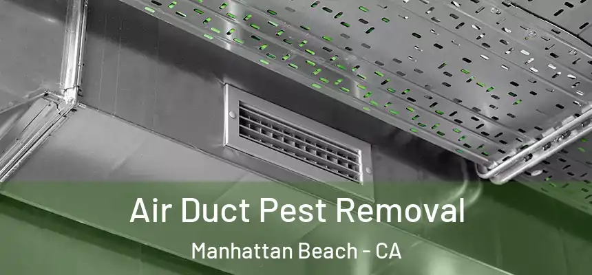  Air Duct Pest Removal Manhattan Beach - CA