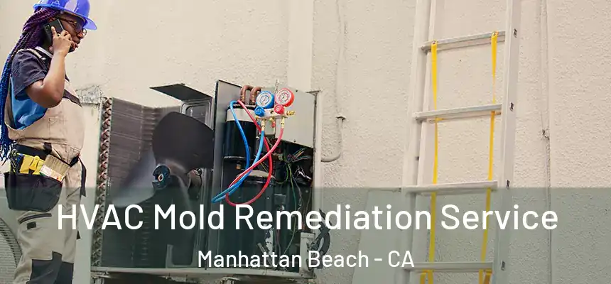 HVAC Mold Remediation Service Manhattan Beach - CA