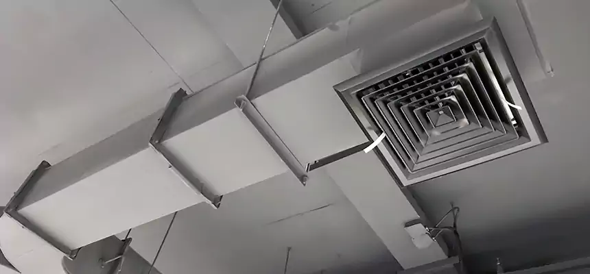 Restorative Allergy Relief Vent Cleaning – Coil, Blower & Housing Detail in Manhattan Beach