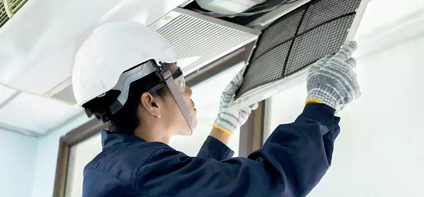 Our Mold & Mildew Removal from Air Ducts Services in Manhattan Beach, CA