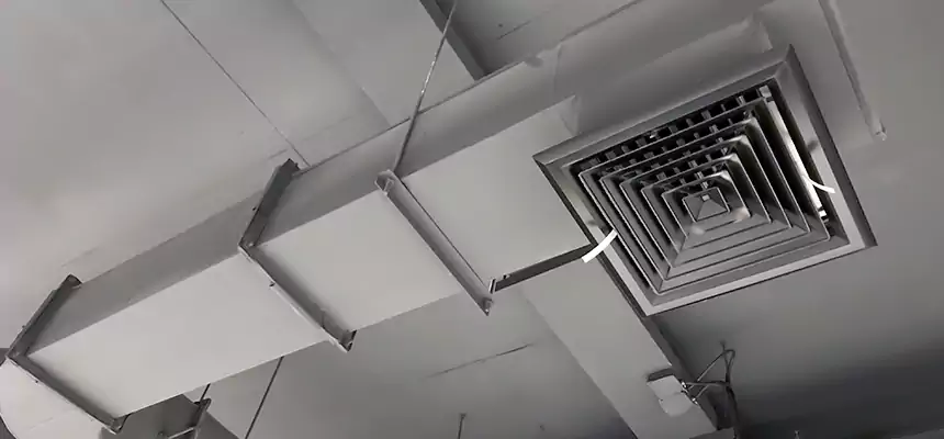 Our Pest Removal From Ducts Services in Manhattan Beach, CA