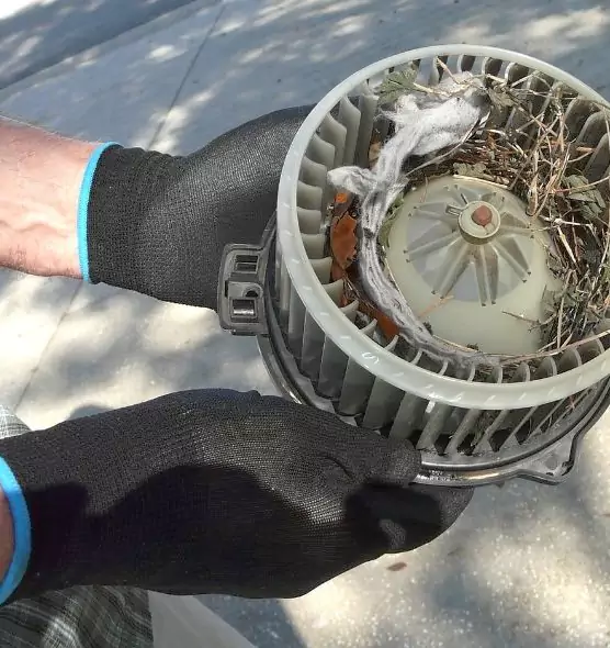 About Air Duct Mice Removal in Manhattan Beach, CA