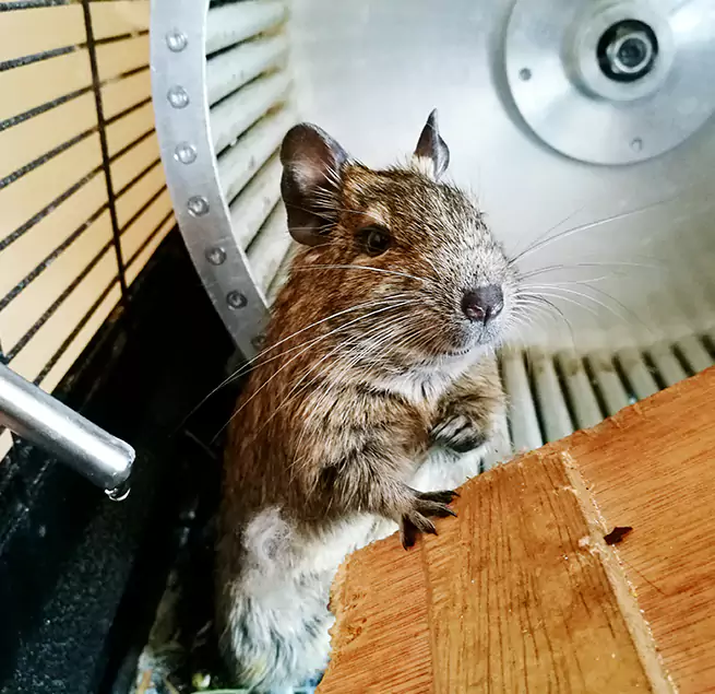 Why Homeowners & Businesses Trust Us Manhattan Beach, CA