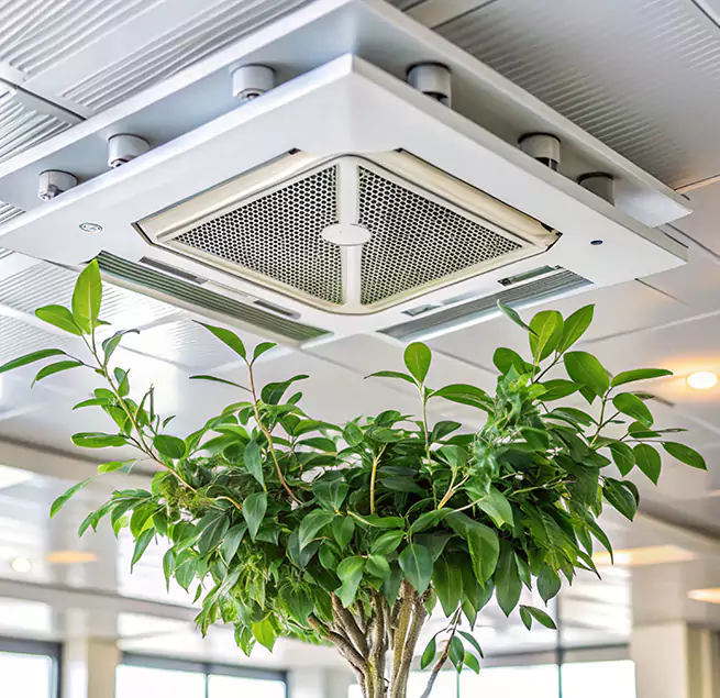 Why Homeowners & Businesses Trust Us in Manhattan Beach, CA