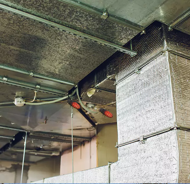 Why Homeowners & Businesses Trust Us Manhattan Beach, CA?